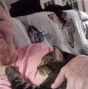 Meet your Posher, Pat